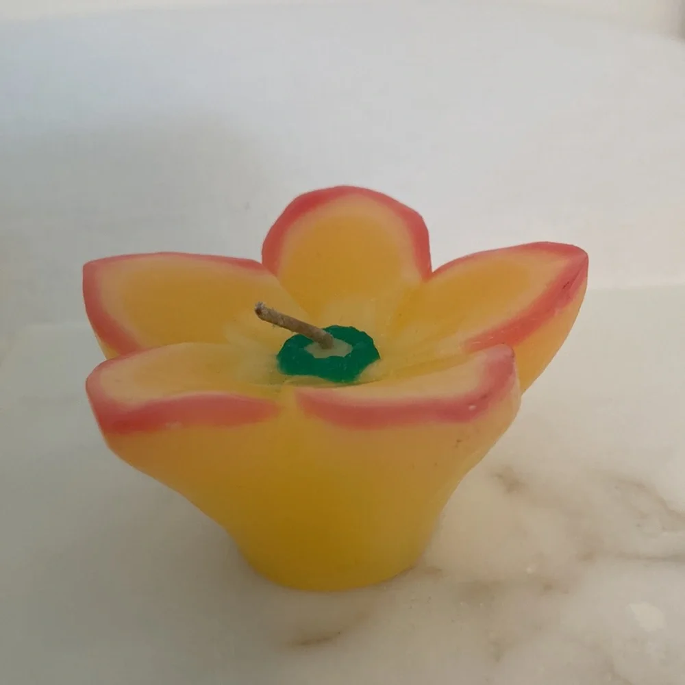 Crate&Barrel flower floating candles New in box